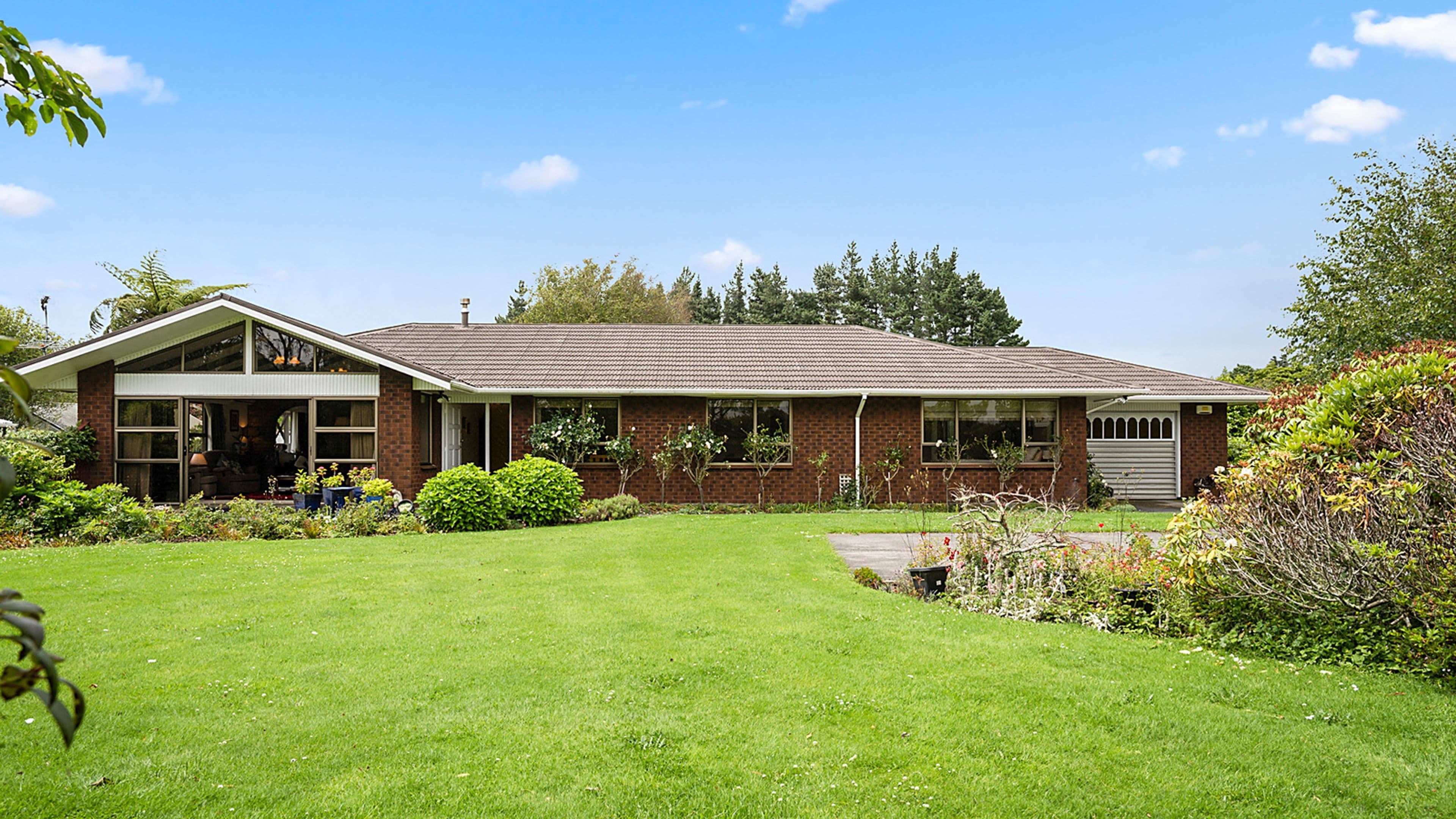 187 Regan St, Stratford, Stratford, Taranaki | Tall Poppy