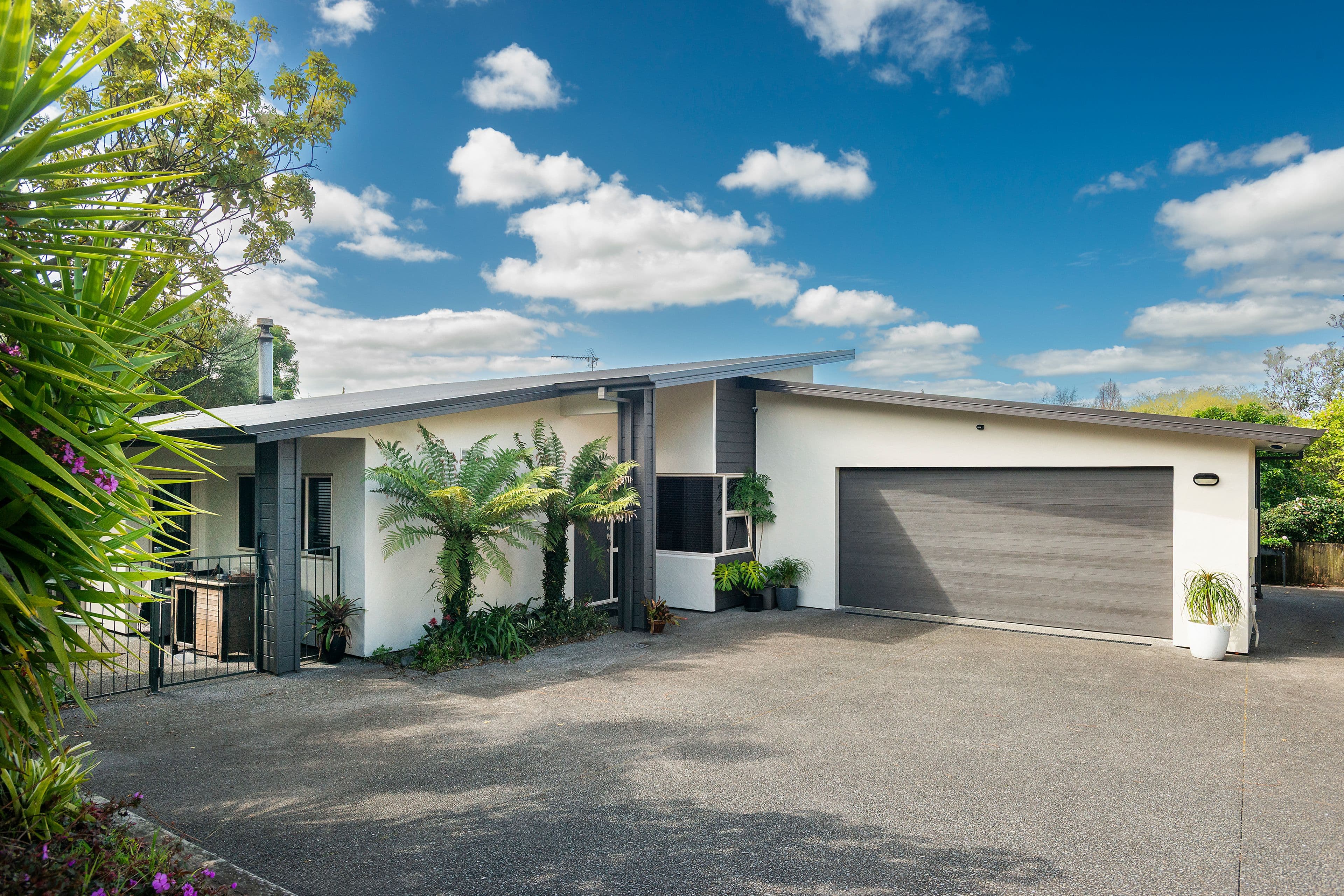 104 Rowesdale Drive, Ohauiti, Tauranga, Bay of Plenty | Tall Poppy