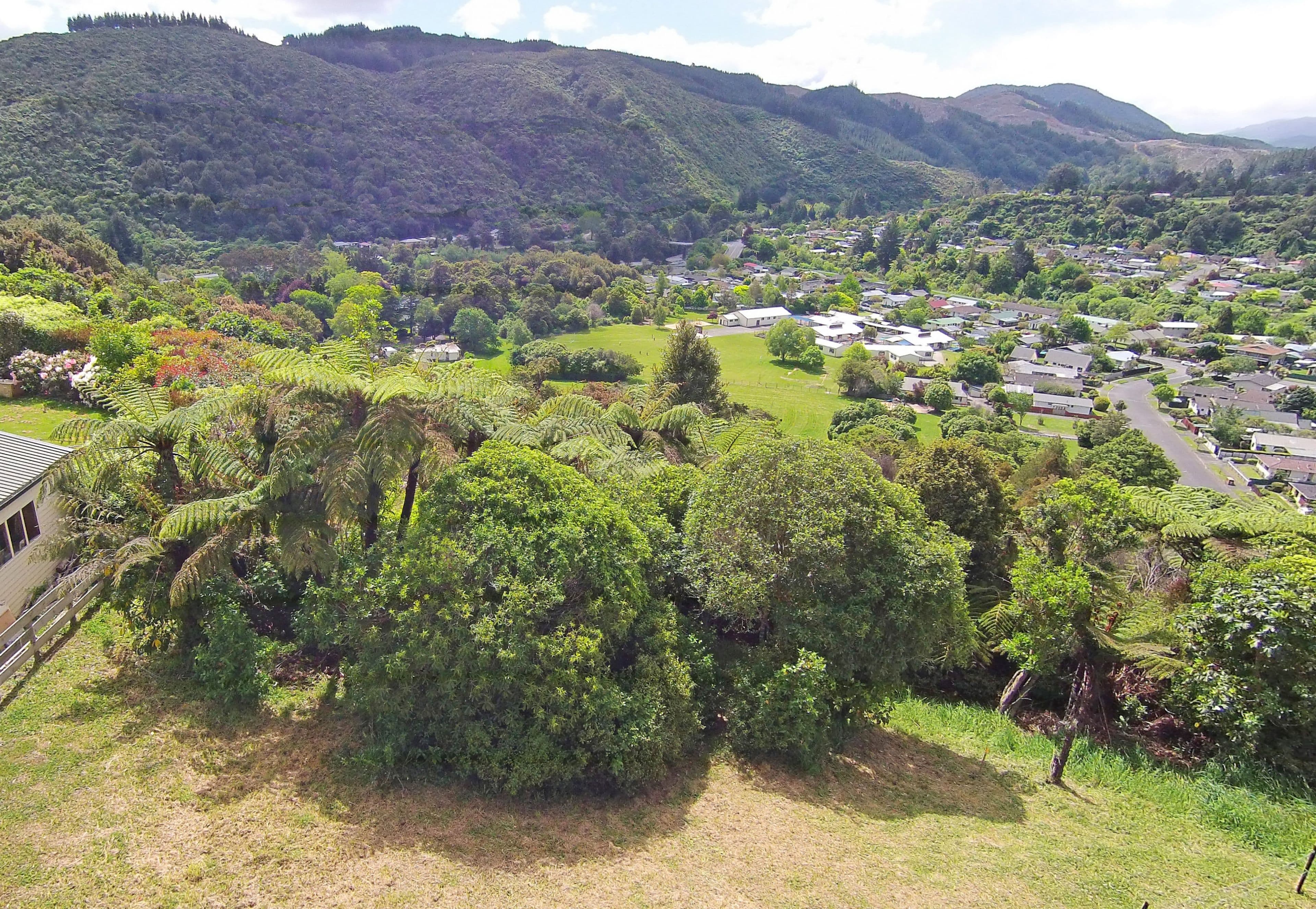102 Emerald Hill Drive, Upper Hutt, Upper Hutt City, Wellington | Tall Poppy