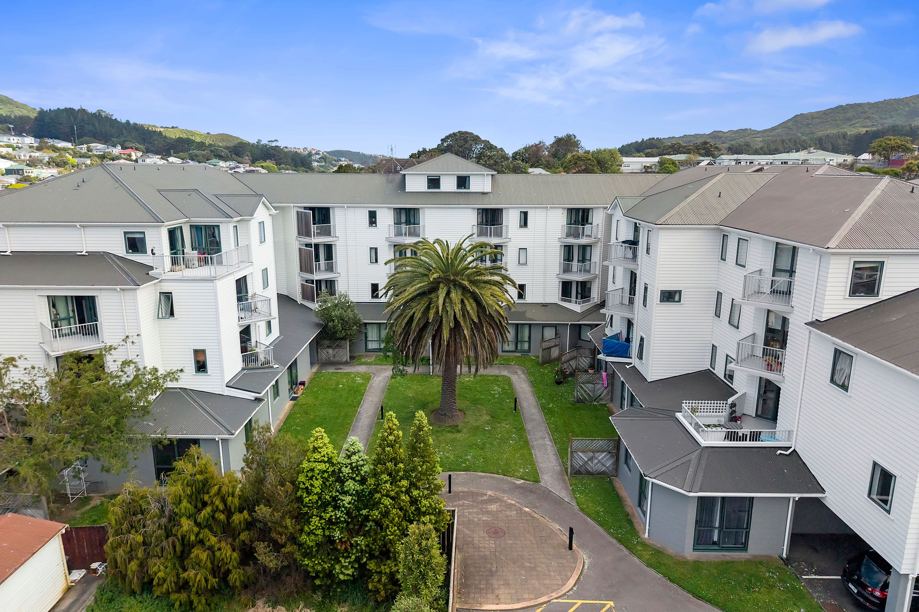 D11/13 Palm Grove, Berhampore, Wellington City, Wellington | Tall Poppy